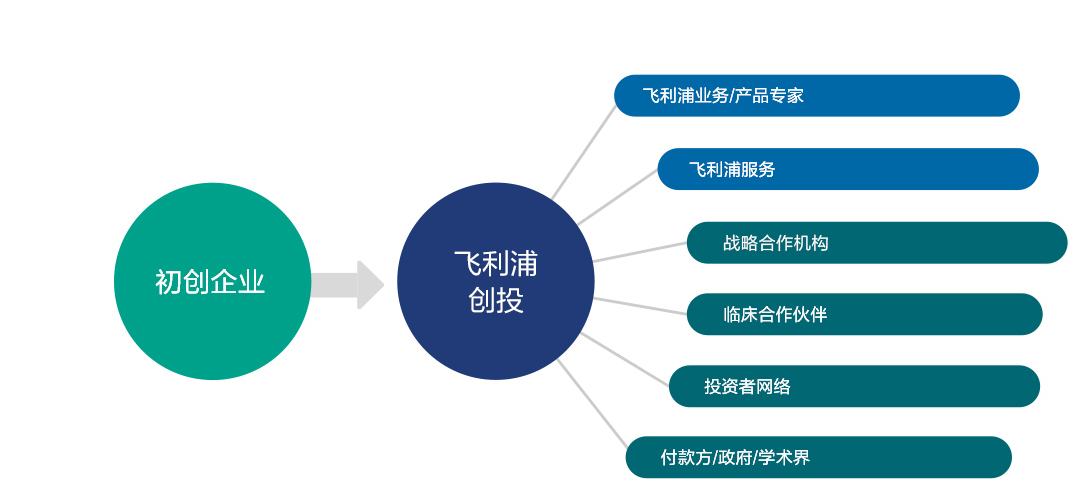 飞利浦创投生态系统图谱 image